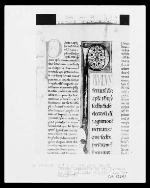 Petrus Lombardus, Commentarius in epistolas Sancti Pauli: Initiale P