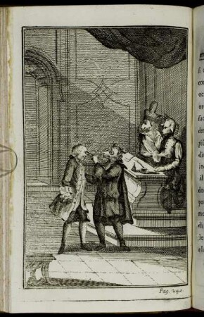 Pag. 245.