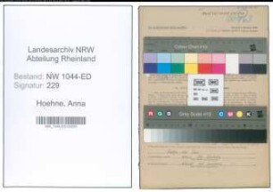 Entnazifizierung Anna Hoehne , geb. 07.06.1908 ()