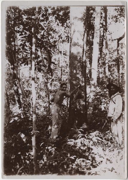 Kissenberth's companion Bento and Sr Cesar on a honey hunt in the Serra da Conceição