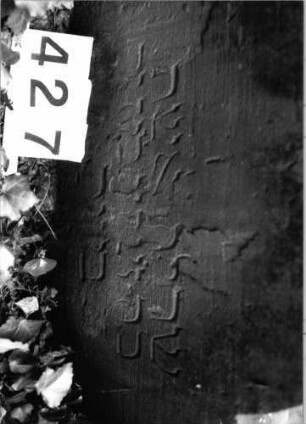Grabstein 427 (Index: 99803692) Material: Sandstein Zustand: verwittert/eingesunken Maße HxBxT: 77x68x10 cm Beschreibung: Stele mit eingezog. Rundbogen, profilierter Rand, Giebelfeld Besonderheit: Endreim: Grabstein 427 (Detailaufnahme 2)