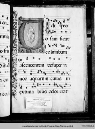 Buchseite mit der Initiale V, Himmelfahrt Mariens - sog. Corale Soderini