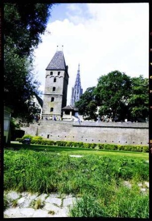 Ulm: erste Landesgartenschau Baden-Württemberg und Bayern, Blick vom Donauufer auf Metzgerturm und Münster