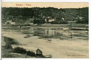 Diesbar. Elbeblick mit dem Dampfer John Penn