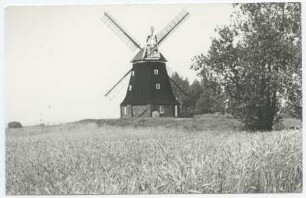 Erdholländerwindmühle Stove