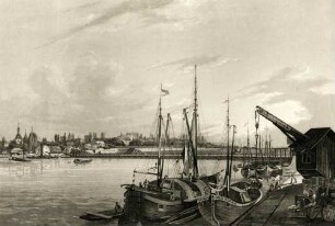 Vue de la ville de Manheim et de ses environs