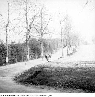 Frühling; Saupsdorf; Trebnitztal mit König und Margot; Kleiner Bärenstein