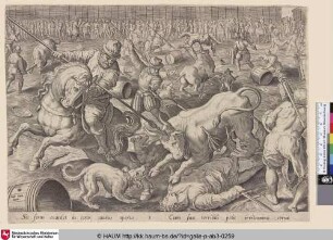 [Bull fight; Stierkampf]