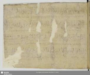 Gallus, Iacobus: Quam dilecta tabernacula