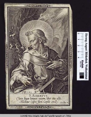 S. Albertus.
