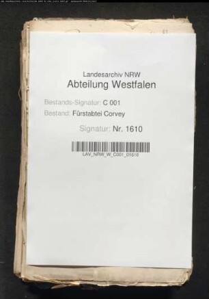 Vitusfreie des Amtes Iggenhausen gegen die von Brinck wegen Abgaben und Leibfreiheit