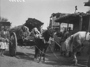Pferdewagen : Ein Pferdewagen in einer zentralasiatischen Siedlung im Tian Shan Hochgebirge