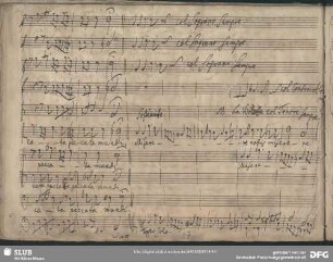 Miserere nobis