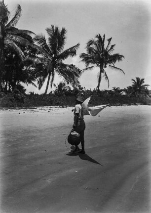 Strandansicht : Person an einem Strand.