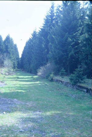 ehemaliger Bahndamm der "Laura" im Thüringer Wald