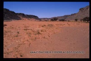 (oberes) Wadi Hamra, Vegetation