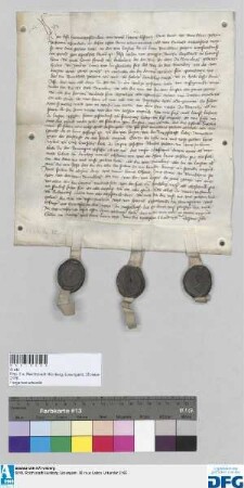 Hanns Elspach, Cuntz Swer und Burckhart Peheim schwören der Stadt Nürnberg und der Gemein von Lorstat Urfehde, nachdem Burckhart Peheim aus dem Gefängnis zu Speckfelt aus Verwenden des Engelhart von Sawnßheim und des Cuncz von Lauffenholtz entlassen worden ist. Dazu schwören ferner Urfehde Hans Wybel, Cuntz Leutselin zu Lorstat, Mathis Peheim und Heintz Peheim zu Newenstat. - Siegler: Veyt von Heerid, Engelhart von Sawnßheim, Erkinger von Sawnßheim jun. zu Westerndorff.