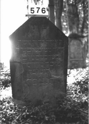 Grabstein 576 (Index: 99900747) Material: Sandstein Zustand: großflächige Abplatzungen, sonst gut erhalten Maße HxBxT: 103x57x7 cm Beschreibung: Stele mit Dreiecksabschluss: Grabstein 576