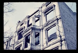 Ruine am Zoo 15.11.55.