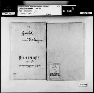Gniebel-Rübgarten: Pfarrberichte und Pfarrbeschreibungen