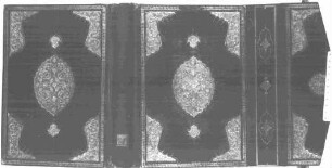 aṣ- Ṣaḥīḥ - BSB Cod.arab. 118