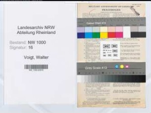 Entnazifizierung Walter Voigt, geb. 16.02.1907 (Ingenieur)