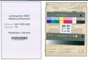 Entnazifizierung Edmund Horstmann , geb. 11.04.1909 (Drogist)