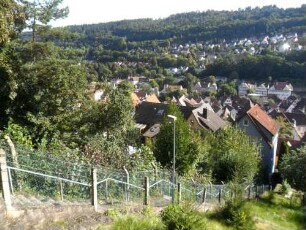 Stadtbild-Ansicht im Nordosten (von Westen aus dem Zwinger) mit Stadt sowie Nagoldtal in Übersicht