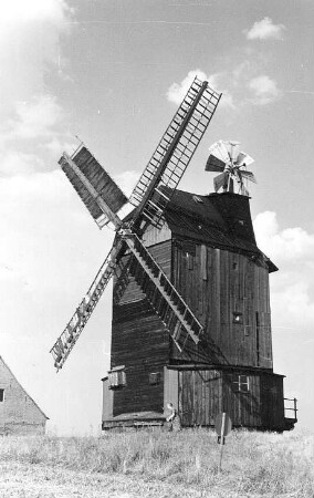 Jesewitz-Gallen. Eckard Mühle, Paltrockmühle (1924 umgebaute Bockmühle)