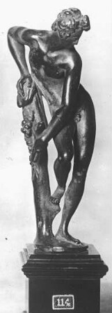 Braunschweig, Bacchus, Herzog Anton Ulrich-Museum, Giambologna (Giovanni da Bologna)