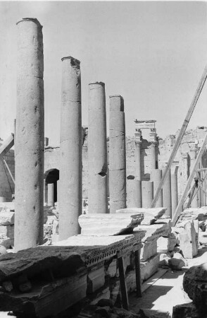 Ruinen von Leptis Magna : Blick über Säulen und Ruinen