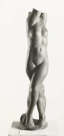 Weiblicher Torso