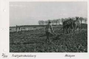 Frühjahrsbestellung - Pflügen der Felder