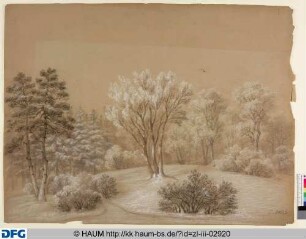Waldlandschaft