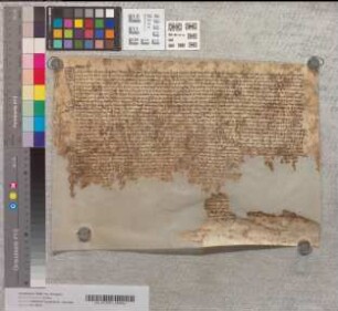 Kaufbrief des Otto Hoberch für Cort Ocke.