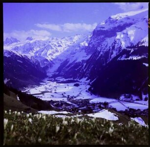 Engelberg: Engelberg Tal und Ort, Vordergrund Krokuswiese