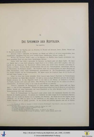 Die Spermien der Reptilien.