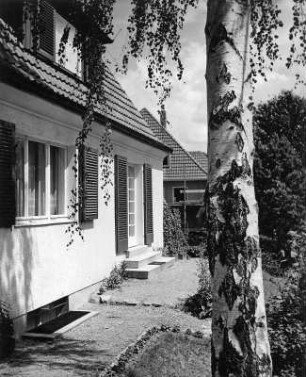 Schierling. Wohnhaus. Eingangsseite mit Birke