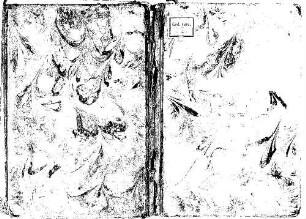 Lugat-ı cagatay - BSB Cod.turc. 221