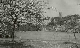 Gnandstein, Burg : Gnandstein. Burg. Ansicht von Südosten mit blühenden Apfelbäumen