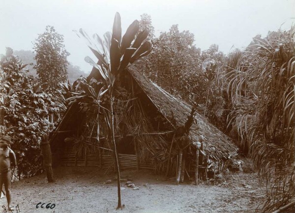 "Maison des hommes. Malekula".