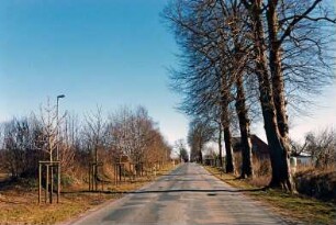 Allee: Kastanienallee, Nachpflanzungen: hinten rechts Haus: 13. März 2003
