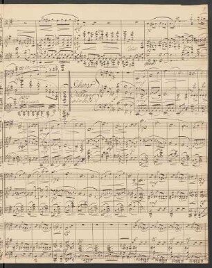 Scherzo. Allegro vivace