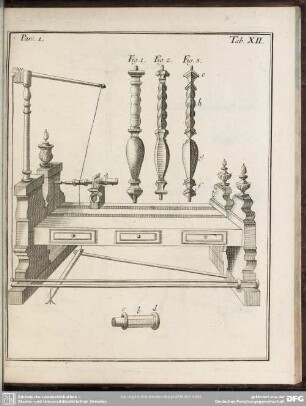 Pars. 1. Tab. XII.