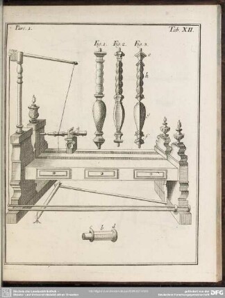 Pars. 1. Tab. XII.