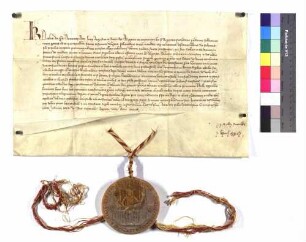 König Karl bestätigt dem Abt und Konvent des Klosters Rot seine Privilegien.
