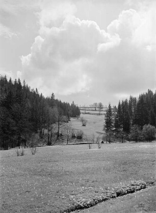 Osterzgebirge. Im Naturschutzgebiet Bienhof im Mordgrund bei Gottleuba