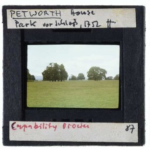 Pethworth House : Park