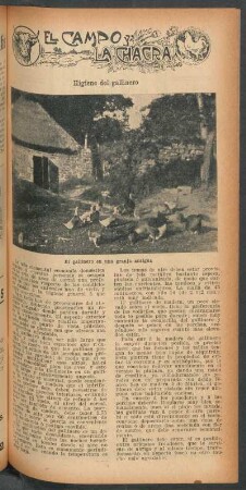 Higiene del gallinero : El campo y la chacra