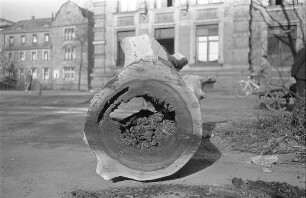 Fällen einer morschen Platane in der Kaiserallee bei der Schillerstraße.
